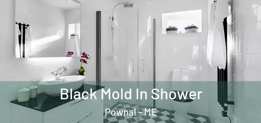 Black Mold In Shower Pownal - ME