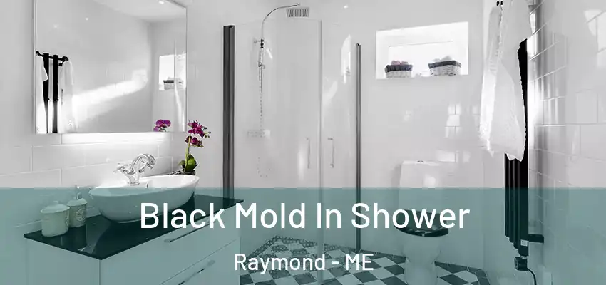 Black Mold In Shower Raymond - ME