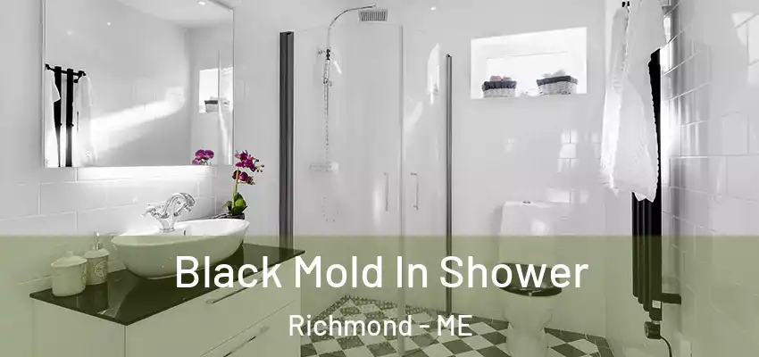 Black Mold In Shower Richmond - ME