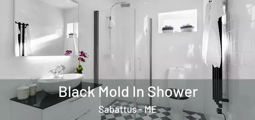  Black Mold In Shower Sabattus - ME