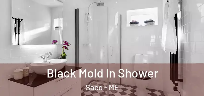  Black Mold In Shower Saco - ME