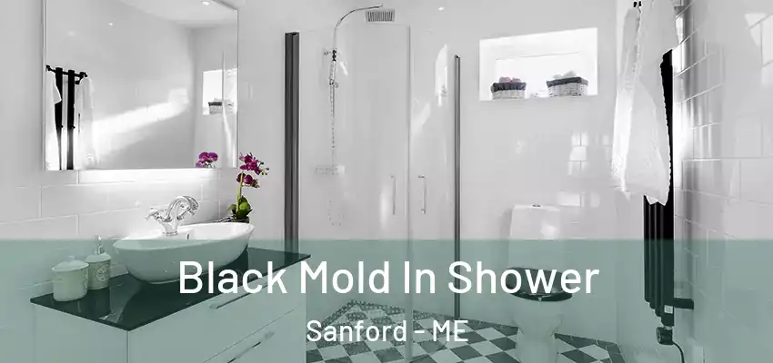  Black Mold In Shower Sanford - ME