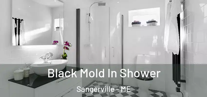  Black Mold In Shower Sangerville - ME