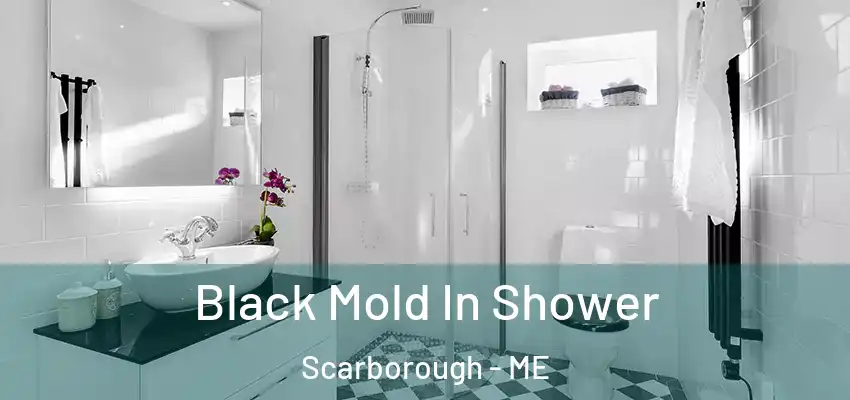 Black Mold In Shower Scarborough - ME