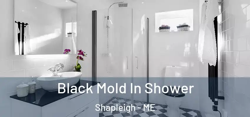  Black Mold In Shower Shapleigh - ME