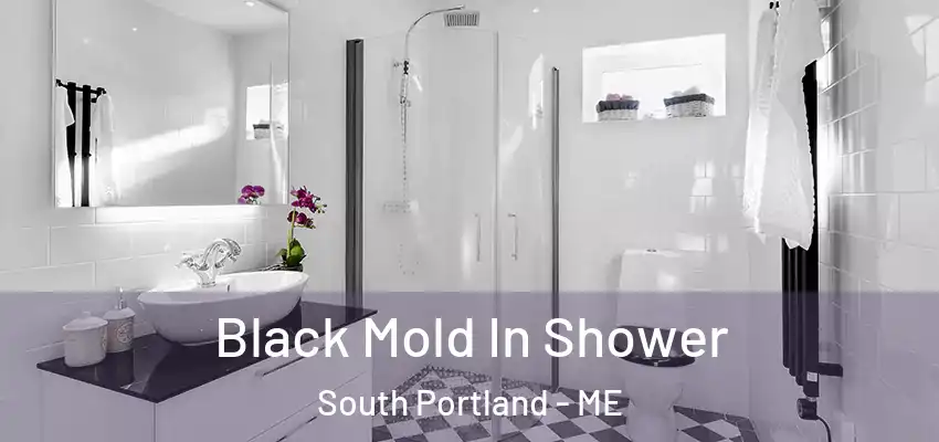 Black Mold In Shower South Portland - ME
