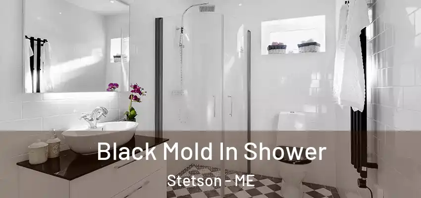  Black Mold In Shower Stetson - ME