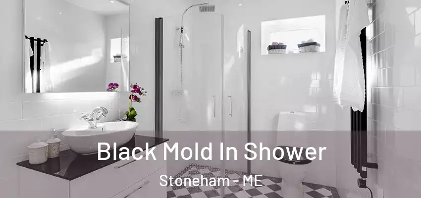 Black Mold In Shower Stoneham - ME