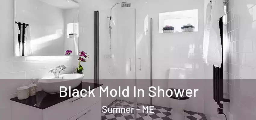  Black Mold In Shower Sumner - ME