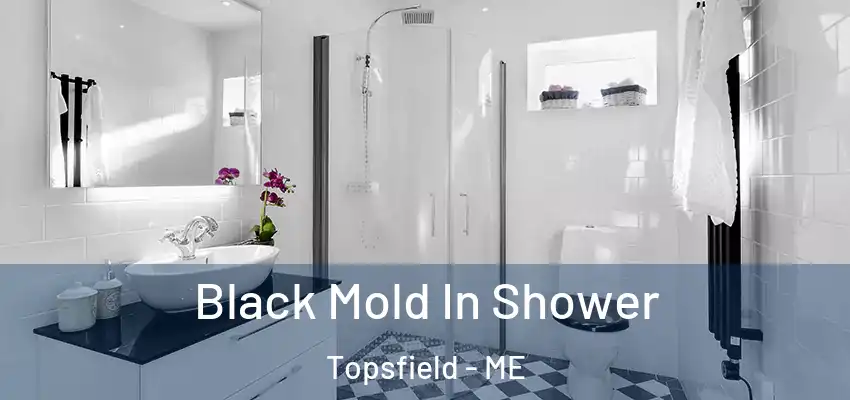 Black Mold In Shower Topsfield - ME