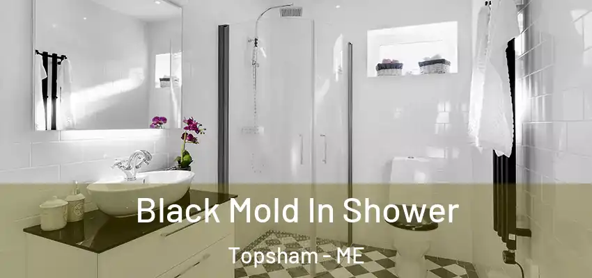 Black Mold In Shower Topsham - ME