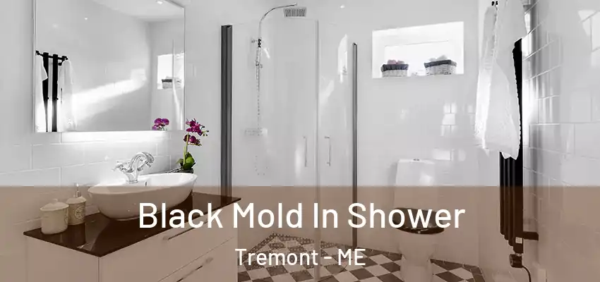 Black Mold In Shower Tremont - ME