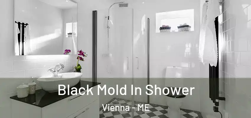  Black Mold In Shower Vienna - ME