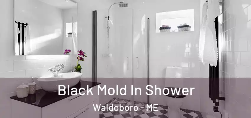  Black Mold In Shower Waldoboro - ME