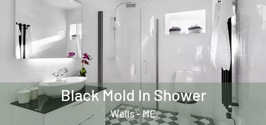Black Mold In Shower Wells - ME