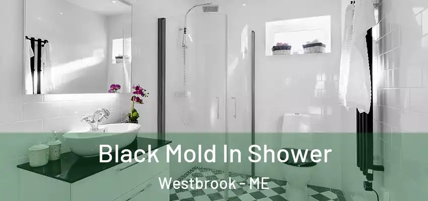 Black Mold In Shower Westbrook - ME