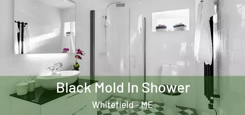  Black Mold In Shower Whitefield - ME