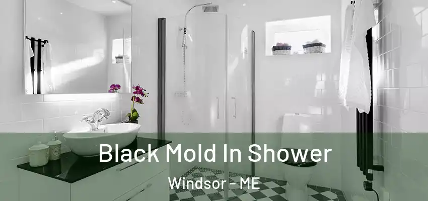 Black Mold In Shower Windsor - ME