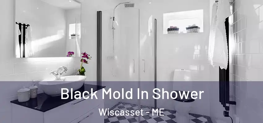  Black Mold In Shower Wiscasset - ME