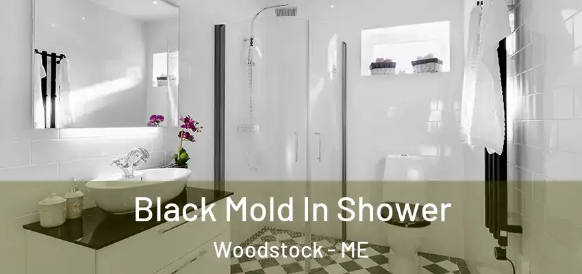 Black Mold In Shower Woodstock - ME
