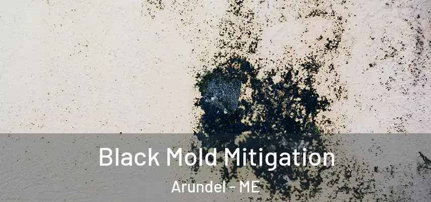  Black Mold Mitigation Arundel - ME