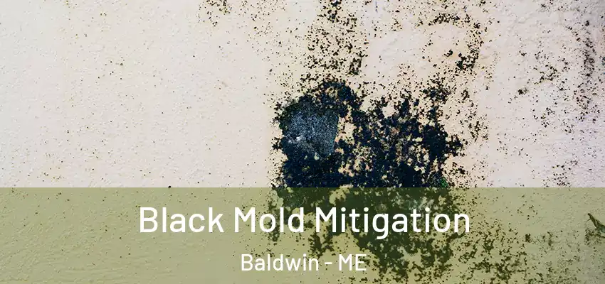  Black Mold Mitigation Baldwin - ME