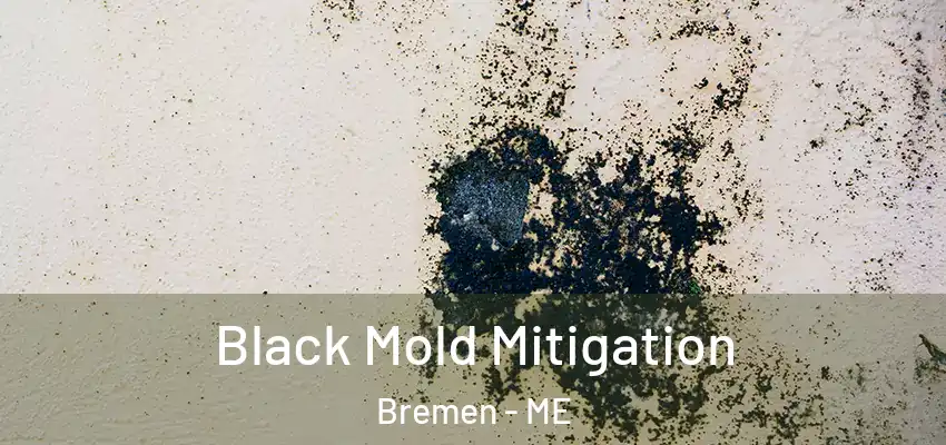  Black Mold Mitigation Bremen - ME