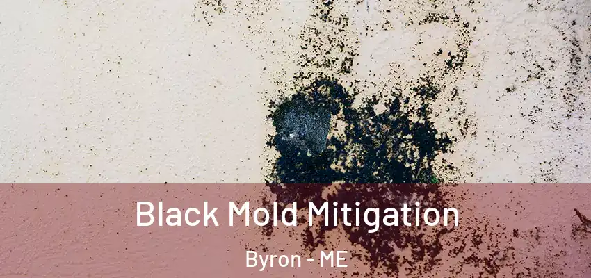  Black Mold Mitigation Byron - ME