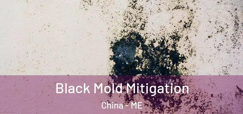  Black Mold Mitigation China - ME