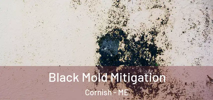  Black Mold Mitigation Cornish - ME