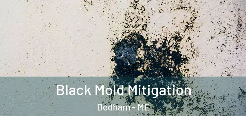  Black Mold Mitigation Dedham - ME