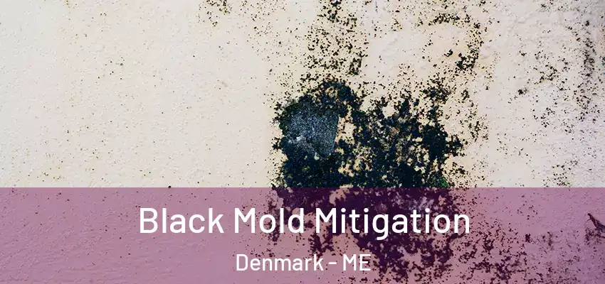  Black Mold Mitigation Denmark - ME