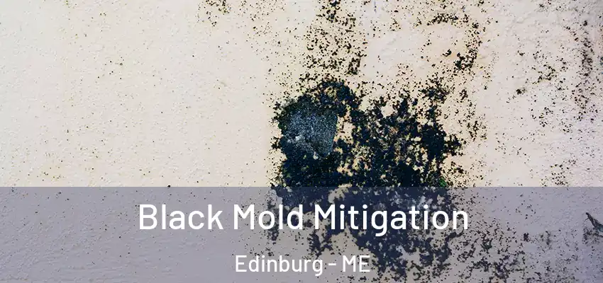  Black Mold Mitigation Edinburg - ME