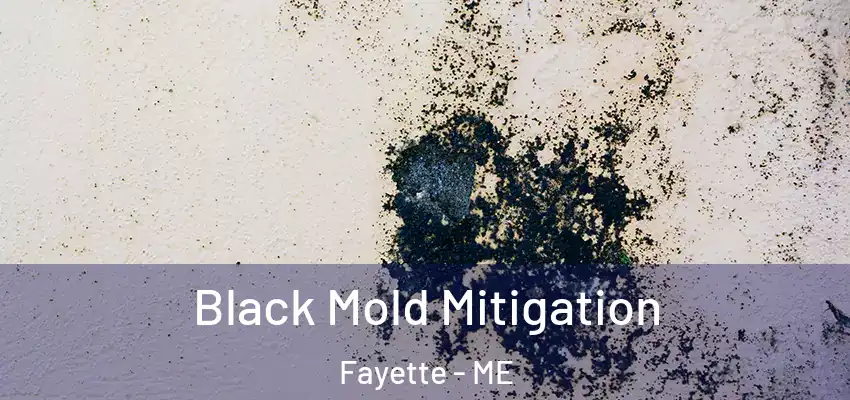  Black Mold Mitigation Fayette - ME