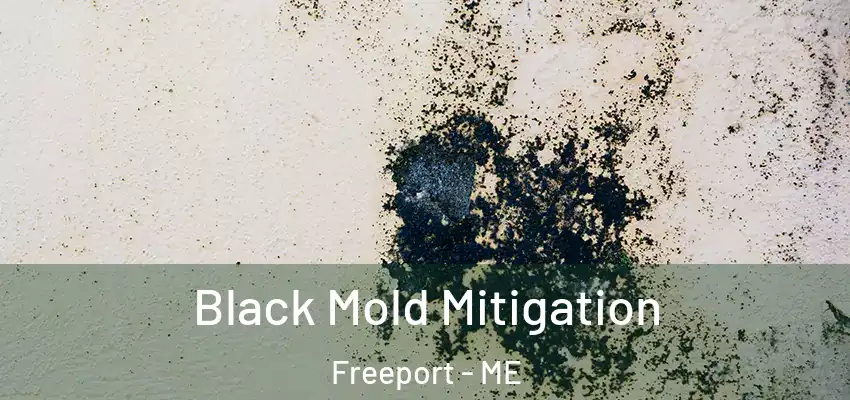 Black Mold Mitigation Freeport - ME