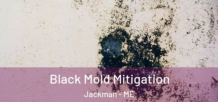  Black Mold Mitigation Jackman - ME