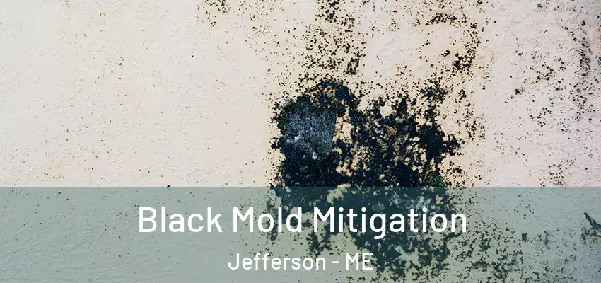  Black Mold Mitigation Jefferson - ME