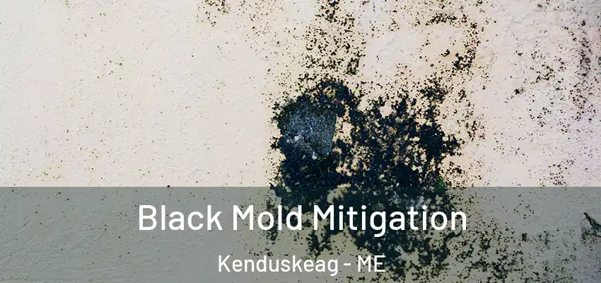  Black Mold Mitigation Kenduskeag - ME