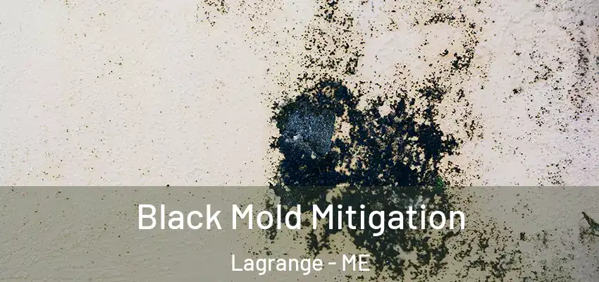 Black Mold Mitigation Lagrange - ME