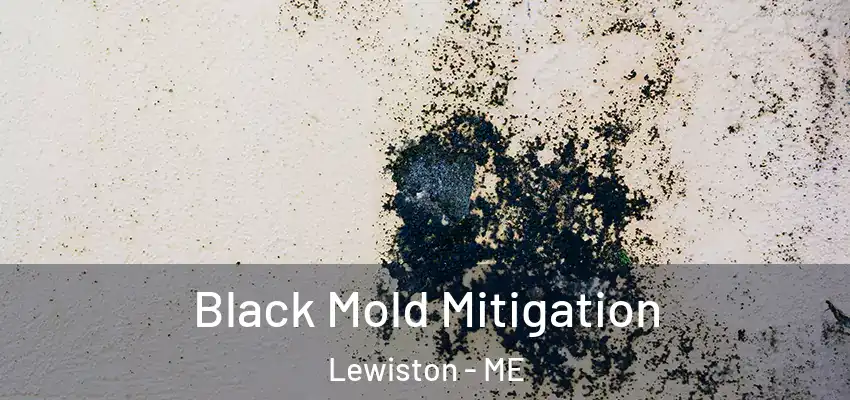  Black Mold Mitigation Lewiston - ME