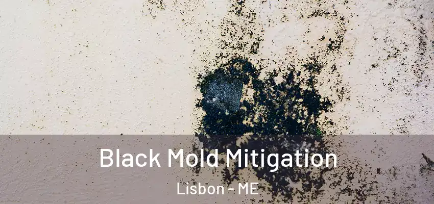  Black Mold Mitigation Lisbon - ME