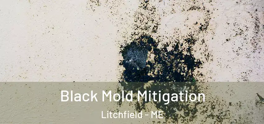  Black Mold Mitigation Litchfield - ME