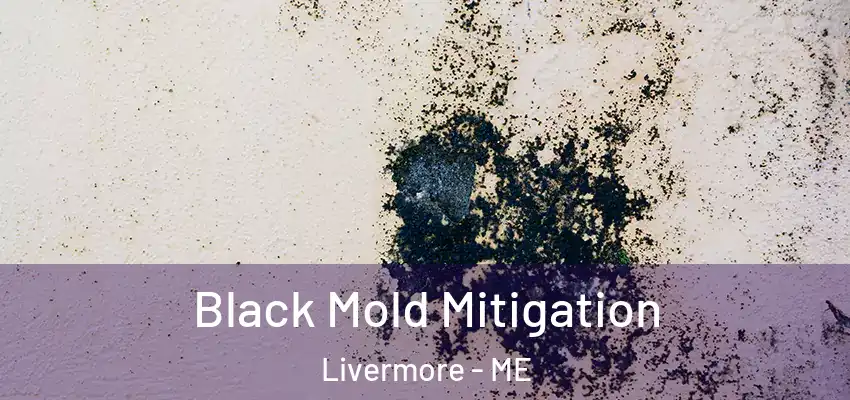  Black Mold Mitigation Livermore - ME