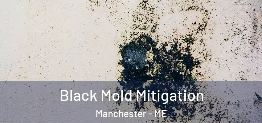  Black Mold Mitigation Manchester - ME