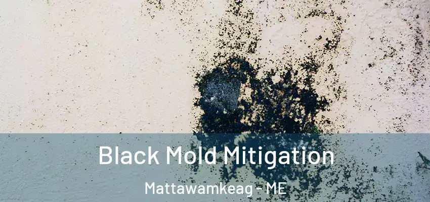 Black Mold Mitigation Mattawamkeag - ME