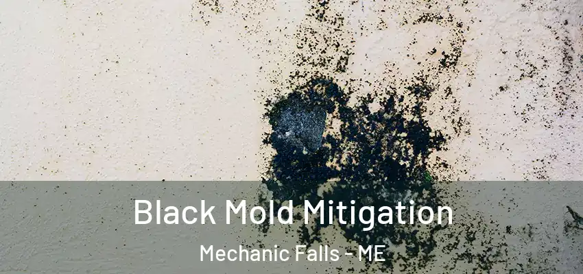  Black Mold Mitigation Mechanic Falls - ME