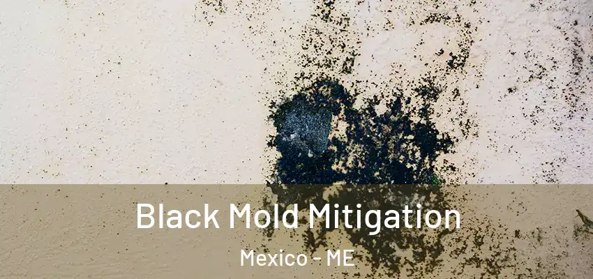  Black Mold Mitigation Mexico - ME