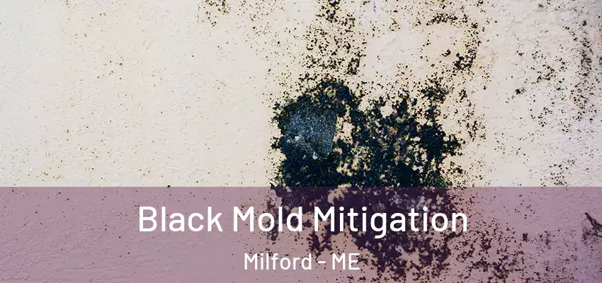 Black Mold Mitigation Milford - ME