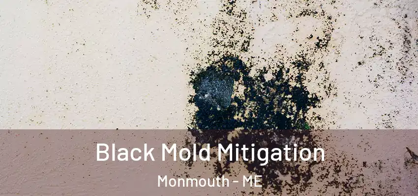 Black Mold Mitigation Monmouth - ME