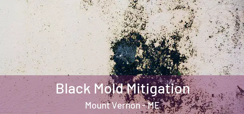  Black Mold Mitigation Mount Vernon - ME